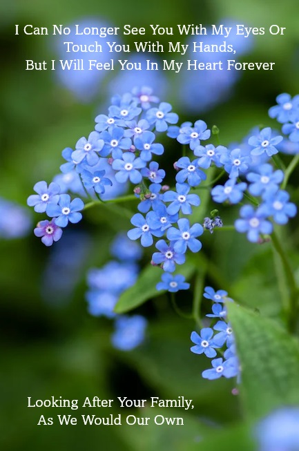 https://0201.nccdn.net/1_2/000/000/16c/751/forget-me-nots-front-page-text.jpg