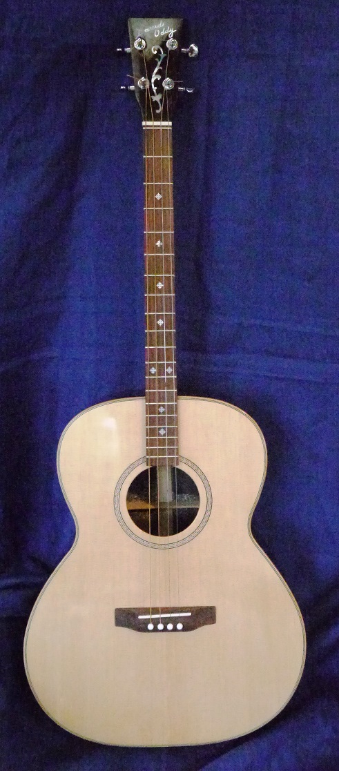 Tenor Guitar !