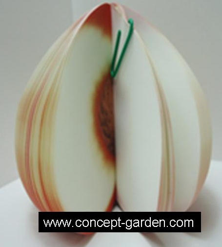 CG2012004 Peach Memo