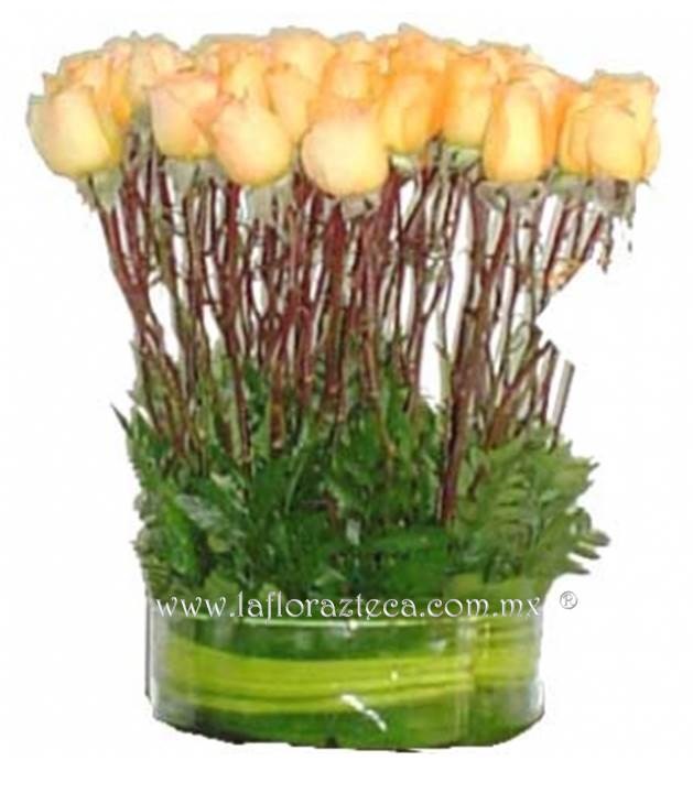 LFA-RS006 50 Rosas en base de Cristal
Precio $1,890