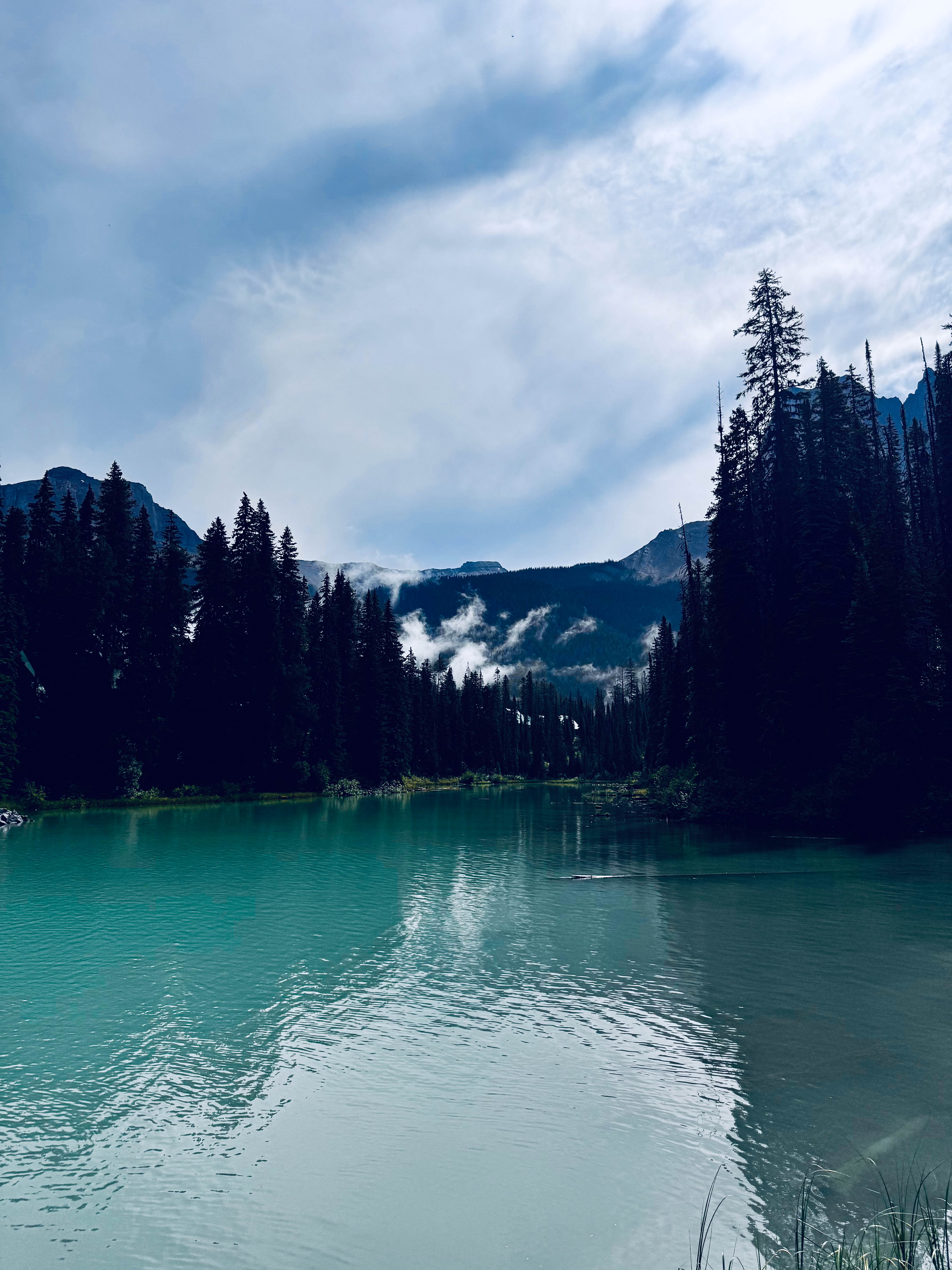 https://0201.nccdn.net/1_2/000/000/16d/589/calgary-order-51.jpg