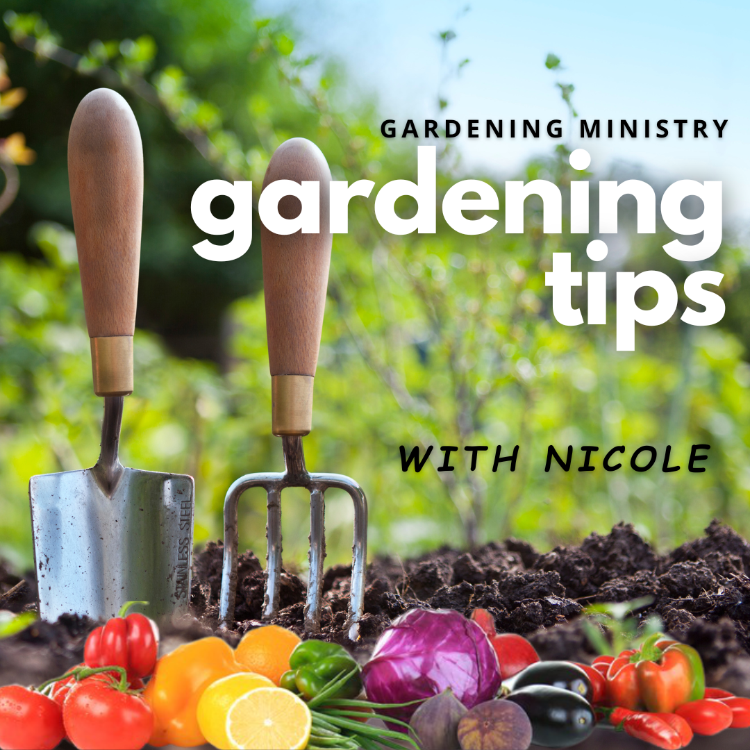 https://0201.nccdn.net/1_2/000/000/16d/65b/gardening-ministry2.png
