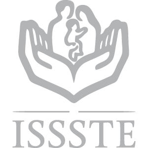 Wartenberg Cosulting logo