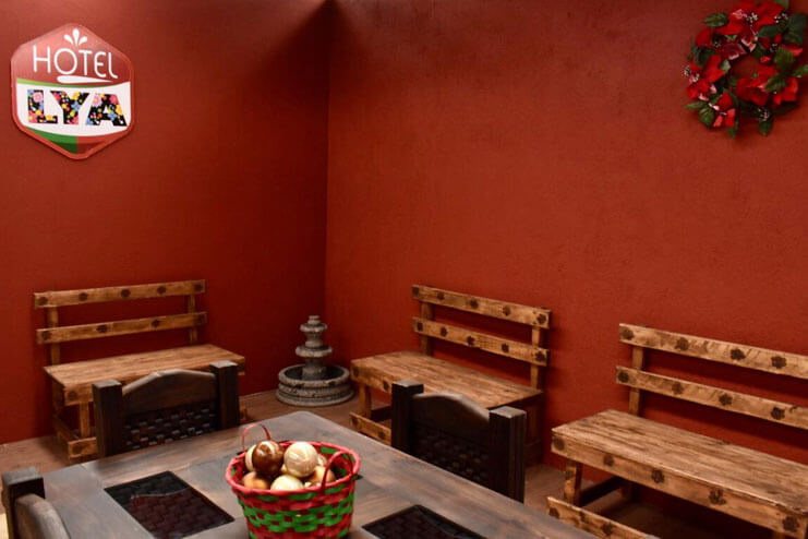 Hotel Lya - AREAS COMUNES
