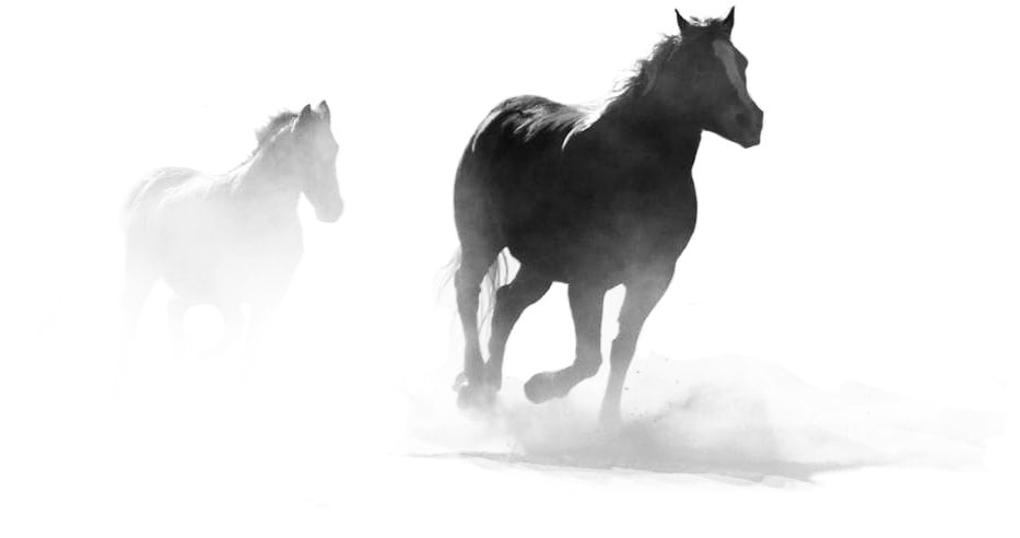 Stylized horses running