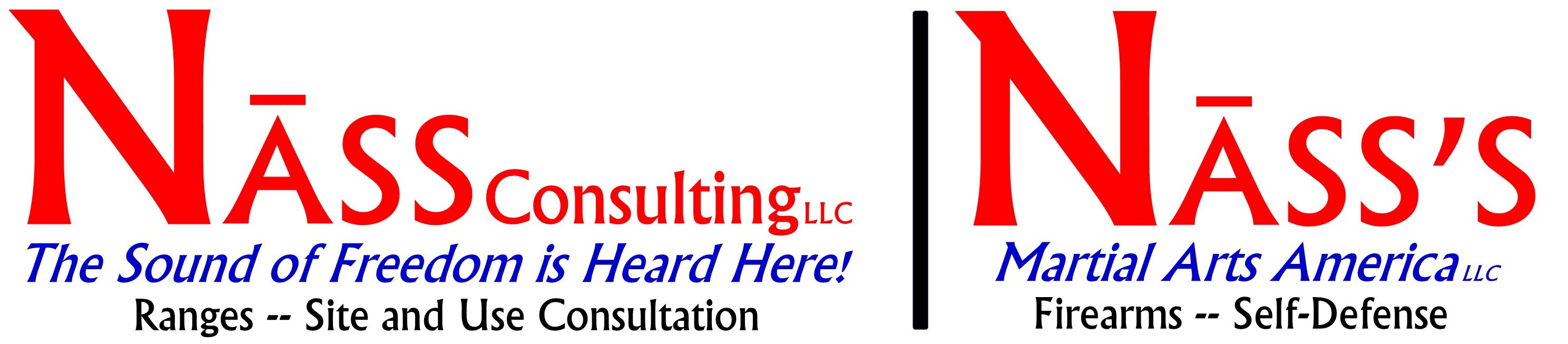 Nass Consulting LLC