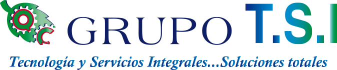 GRUPO T.S.I.
