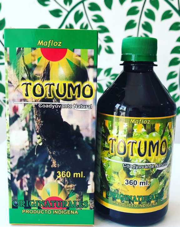 Eco and Nature