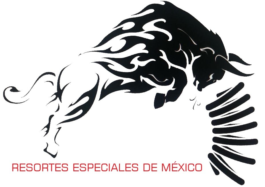 Fabricación de Resortes industriales