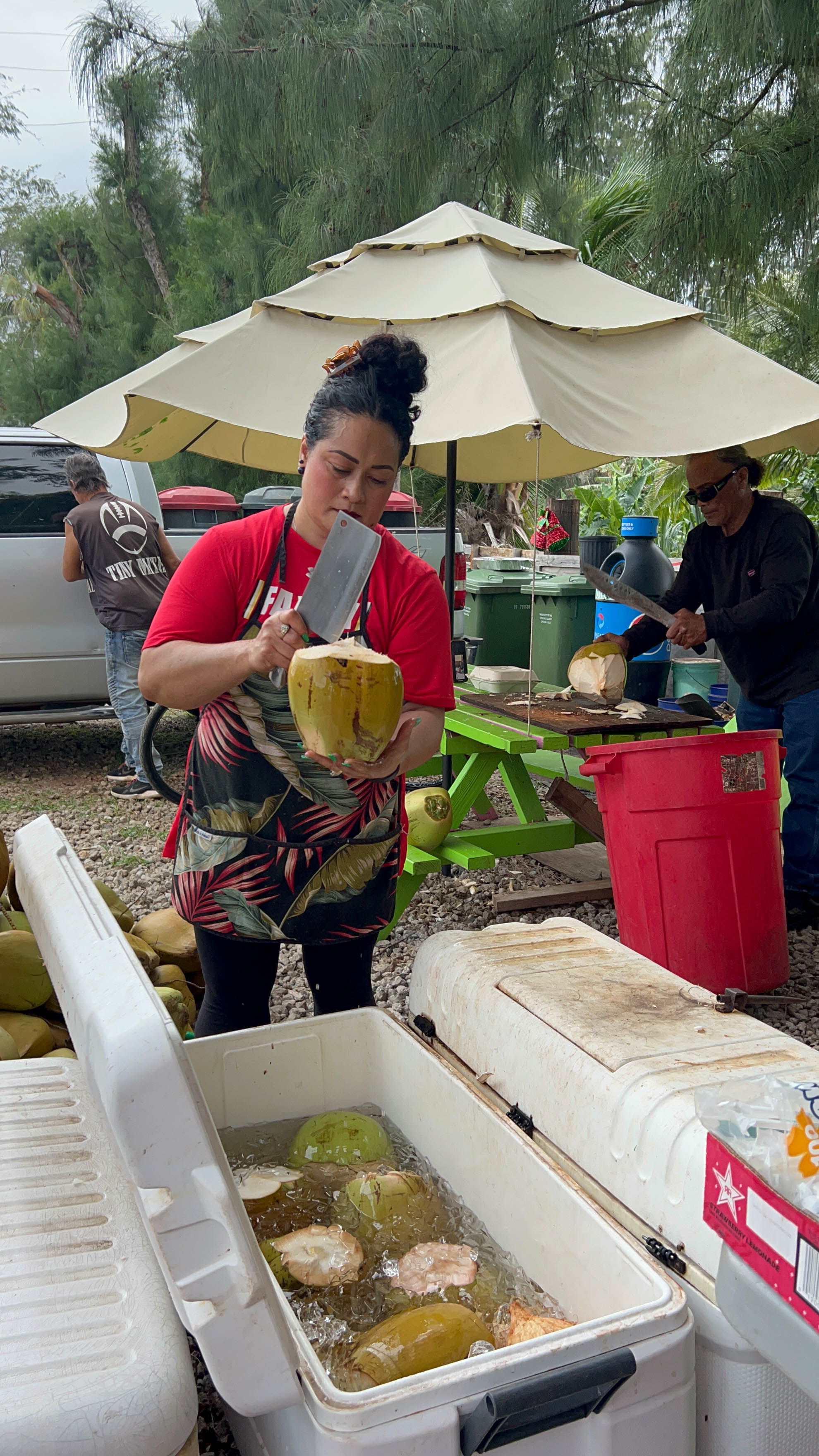 https://0201.nccdn.net/1_2/000/000/16f/004/hawaii-order-142.jpg