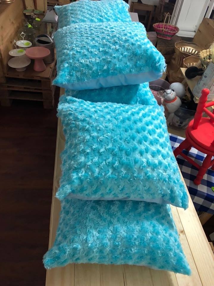 Cojines en tela felpudo
Color Azul
44cm x 44cm
Alquiler $ 5.000