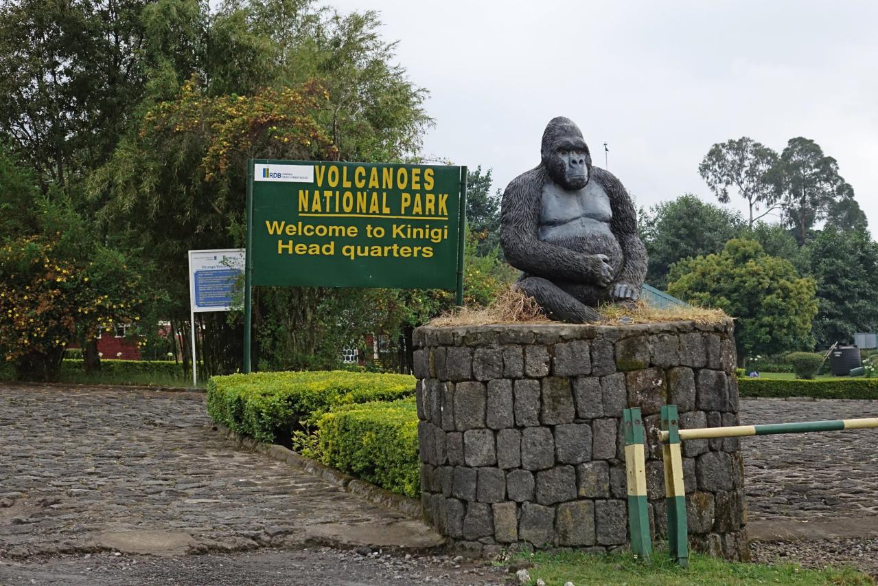 https://0201.nccdn.net/1_2/000/000/16f/6f8/africa5.jpg