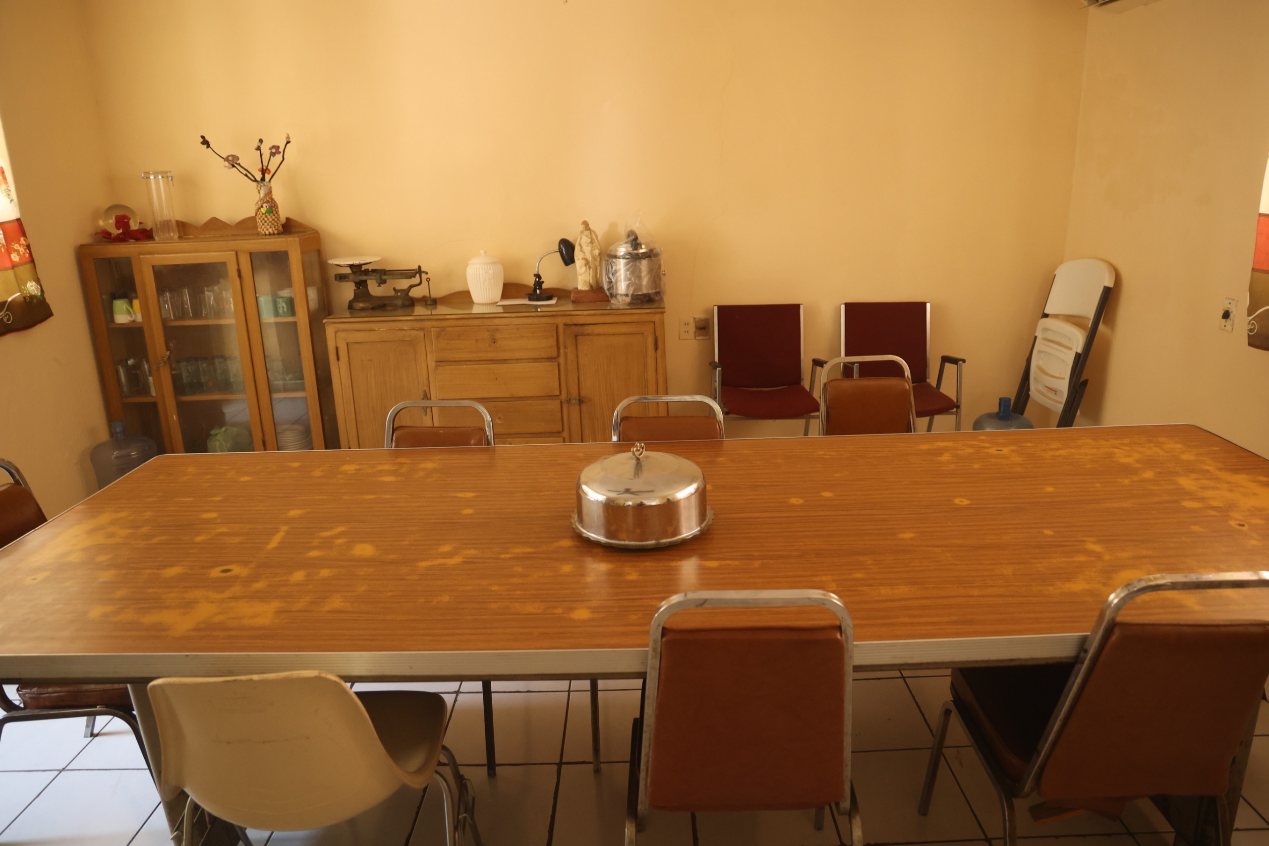 Sala de estar moderna con decoración minimalista, plantas verdes, muebles de madera clara y gran ventanal que proporciona luz natural.