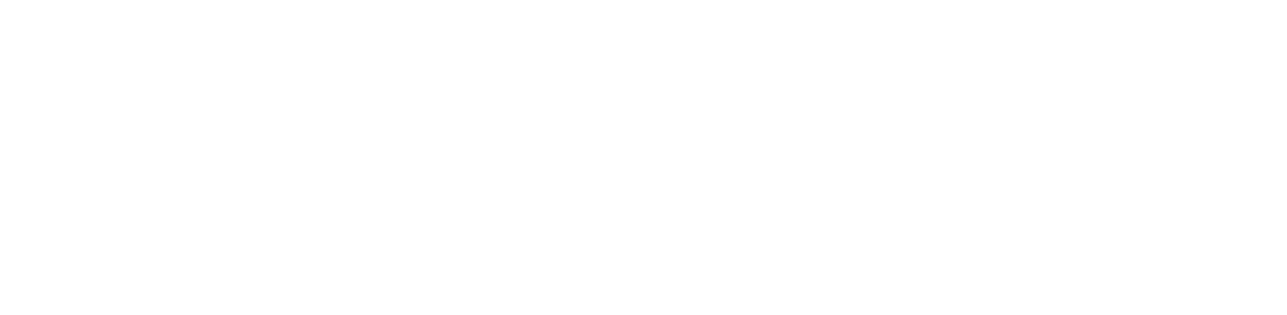 Clinica Performance Physioterapy & Sport Medicine