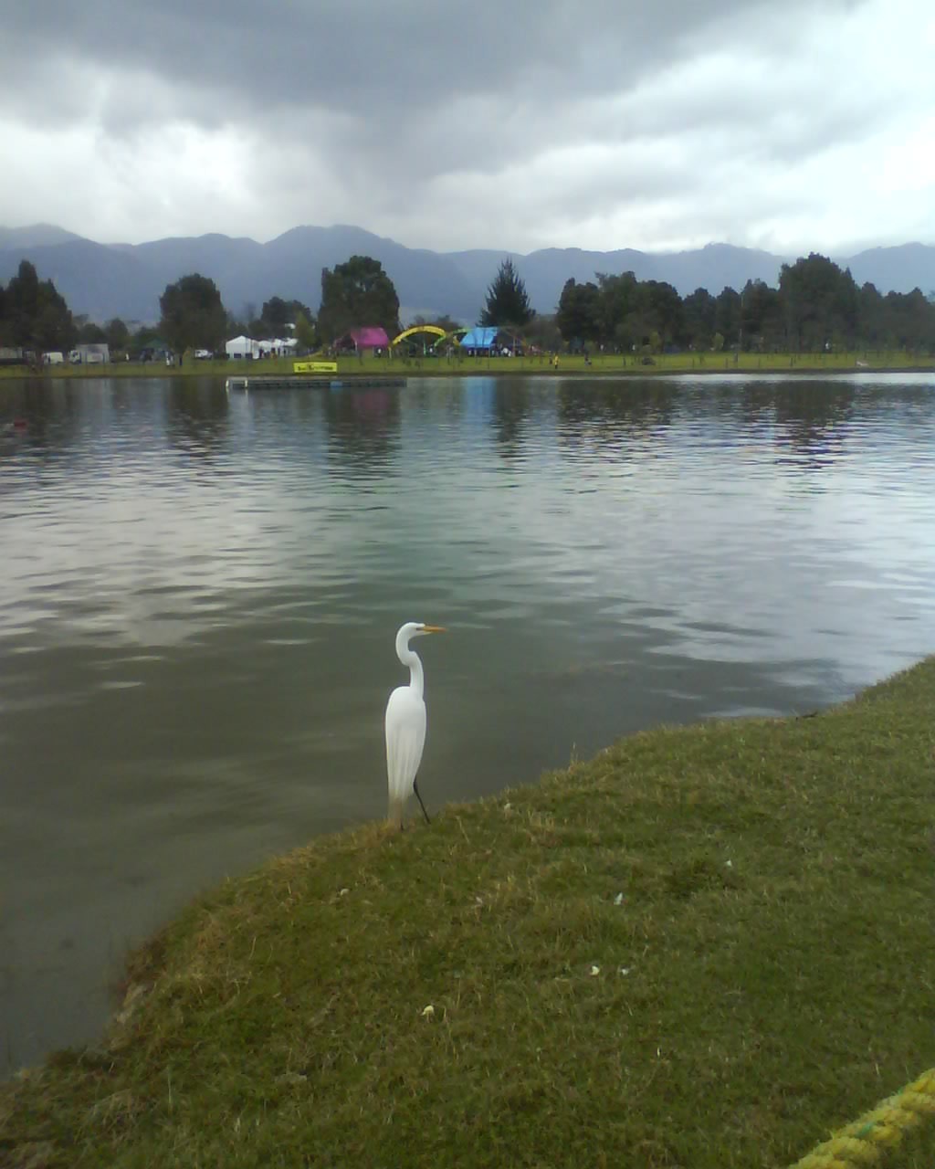 Man riding a bike in the mountains