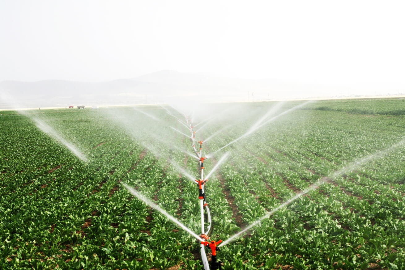 Aupa Mavari - Conservación