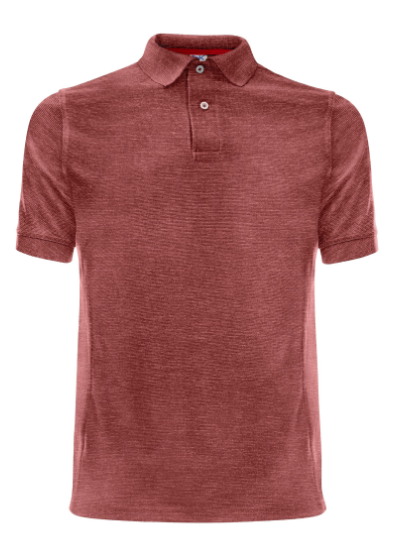 PLAYERA TIPO POLO ADVANCE