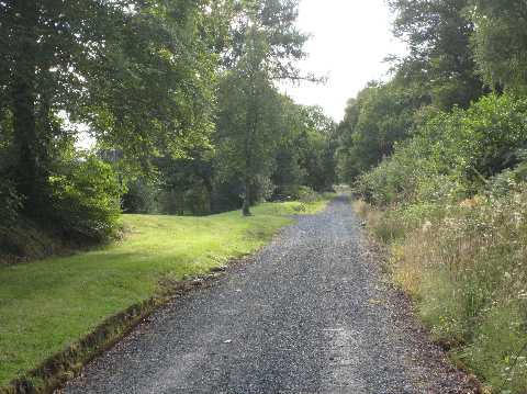 The Old Railway line, Creagan, 08
