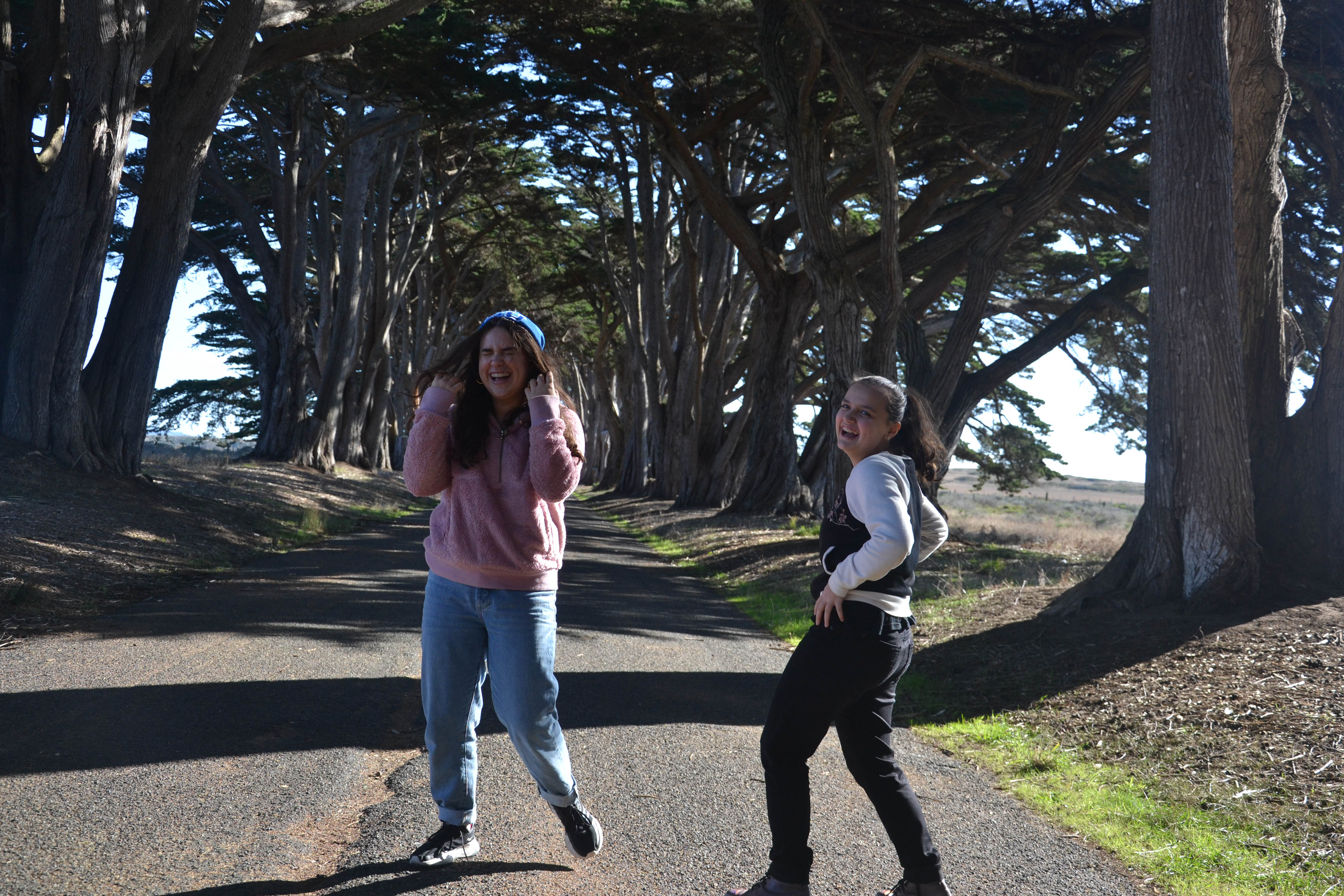 https://0201.nccdn.net/1_2/000/000/170/455/san-fran-order-2-109.jpg