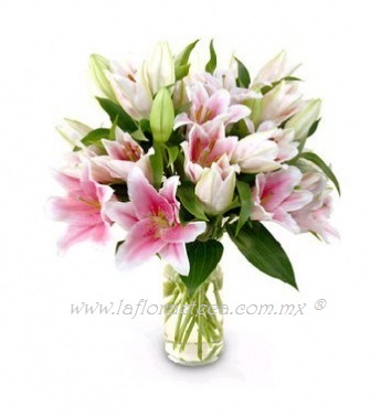 San Valentin 027
$ 1190.00 pesos