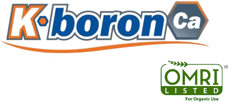 K Boron Ca
