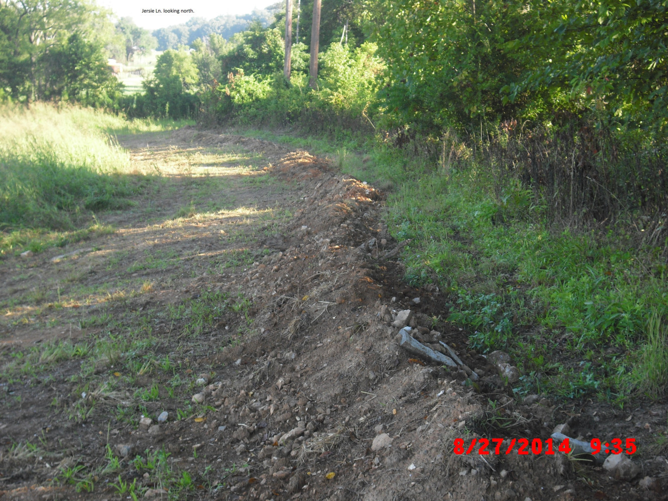 Jersie Lane Looking North View 5