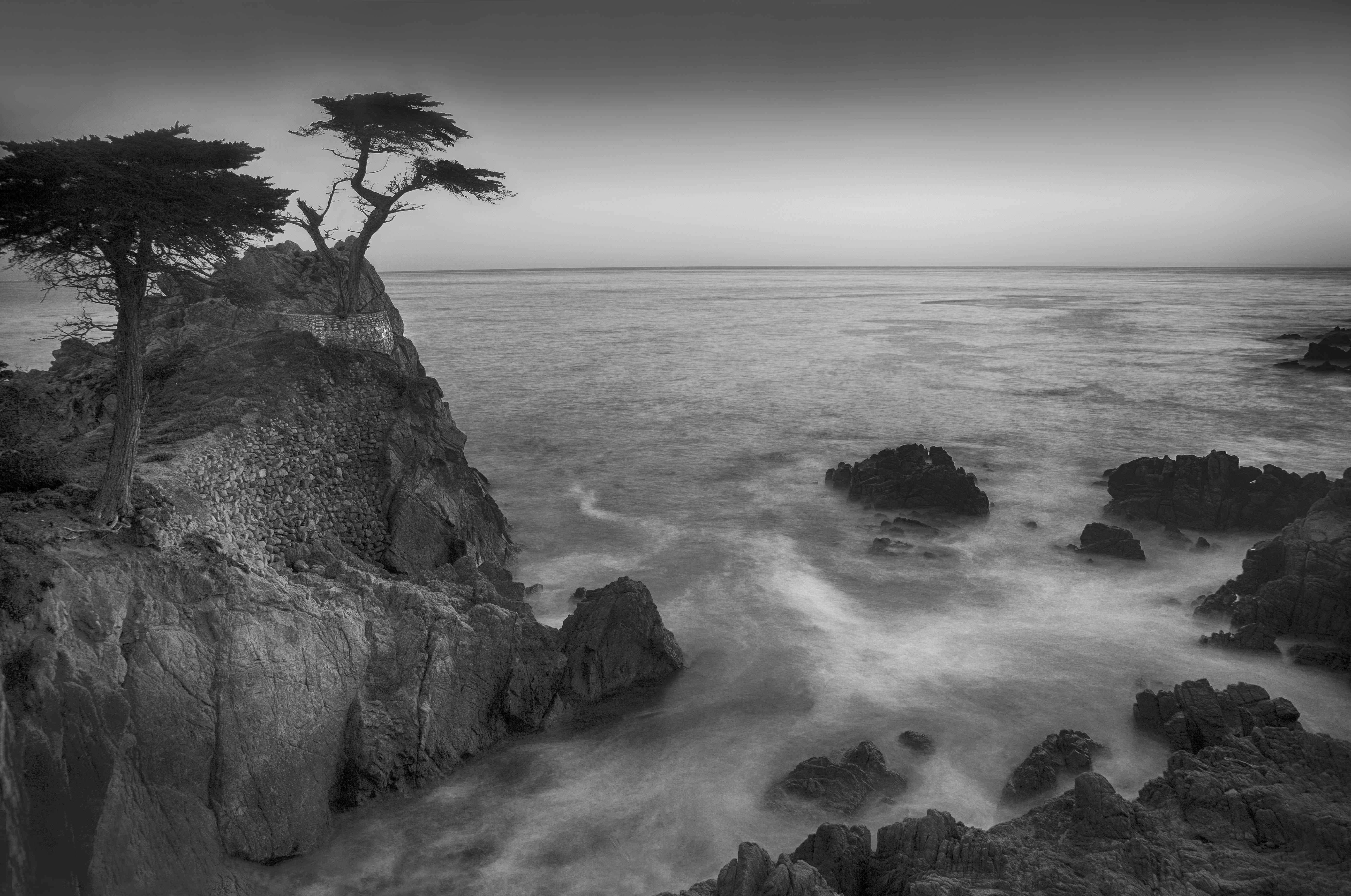 Lone Cypress Wide View