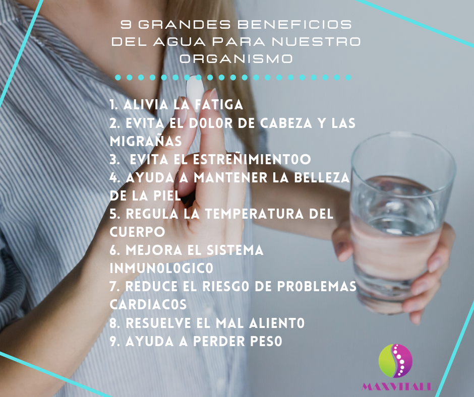 Wrap sandwiches with vegetables