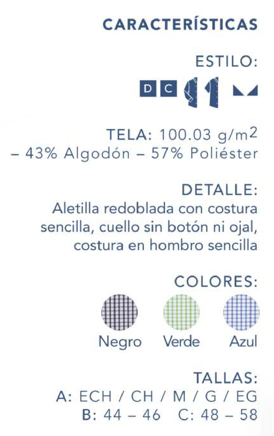 CARACTERISTICAS ESTILO LUCCA