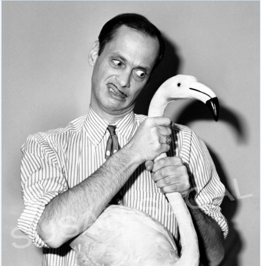 John Waters - Writer, Producer, Director & Author - Los Angeles