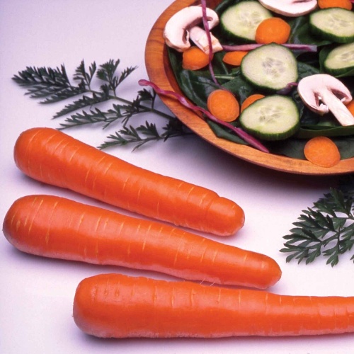Carrot Ingot Carrot Ingot