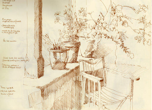 Sketch for Plumbago and Daisies