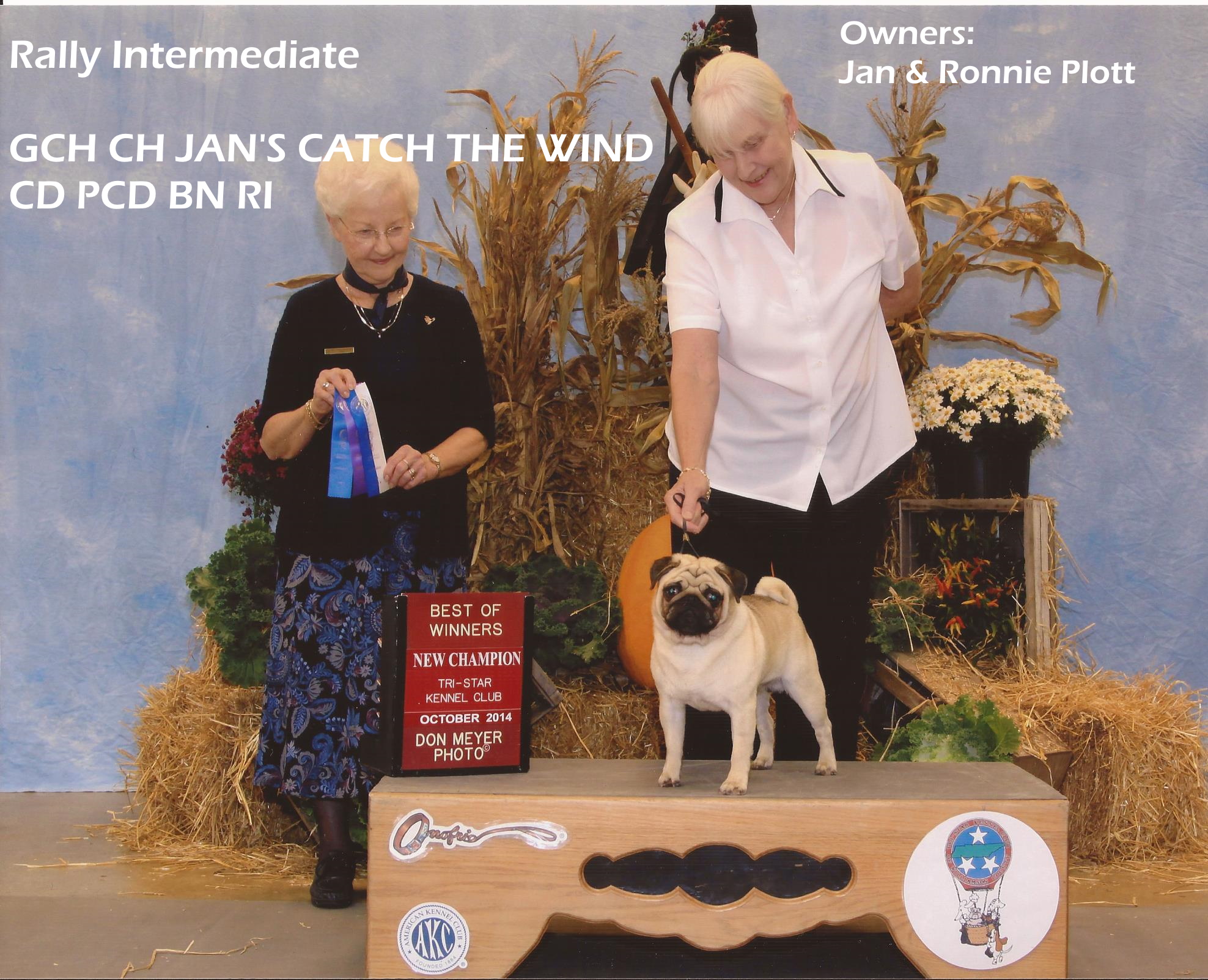 Newnan Kennel Club Home