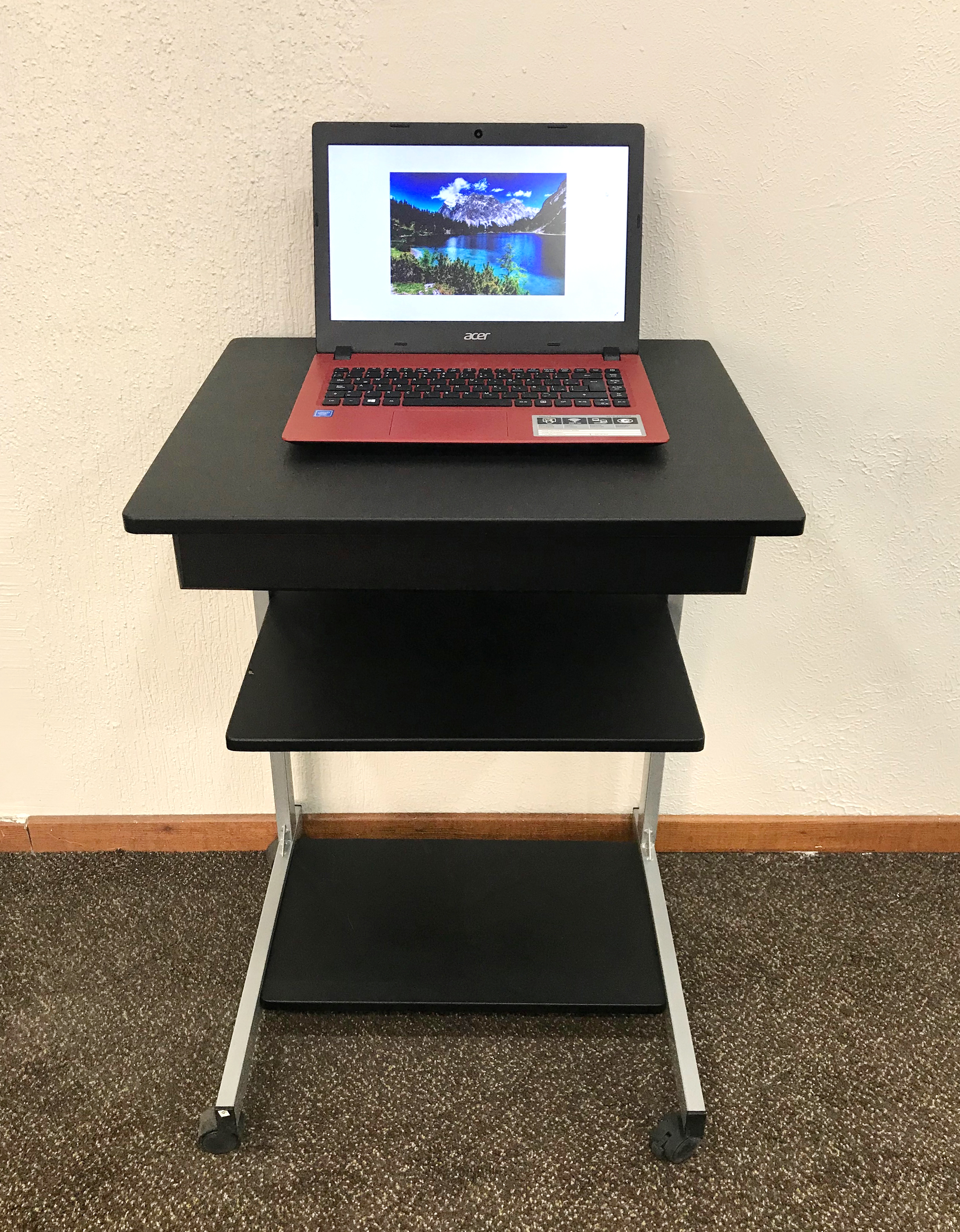 Laptop
opcional y sin costo