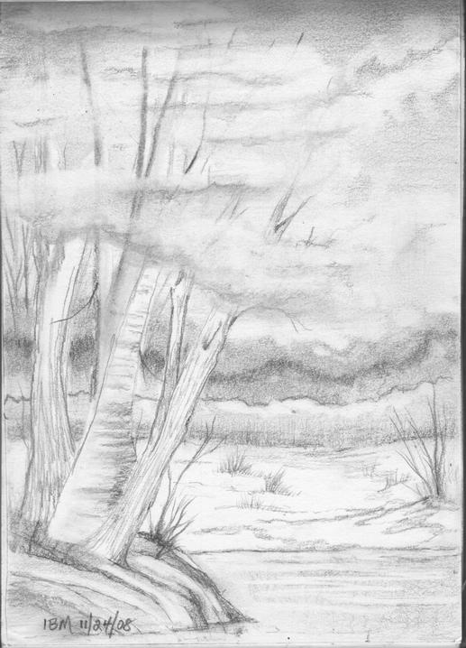 ©ibm 11-24-08