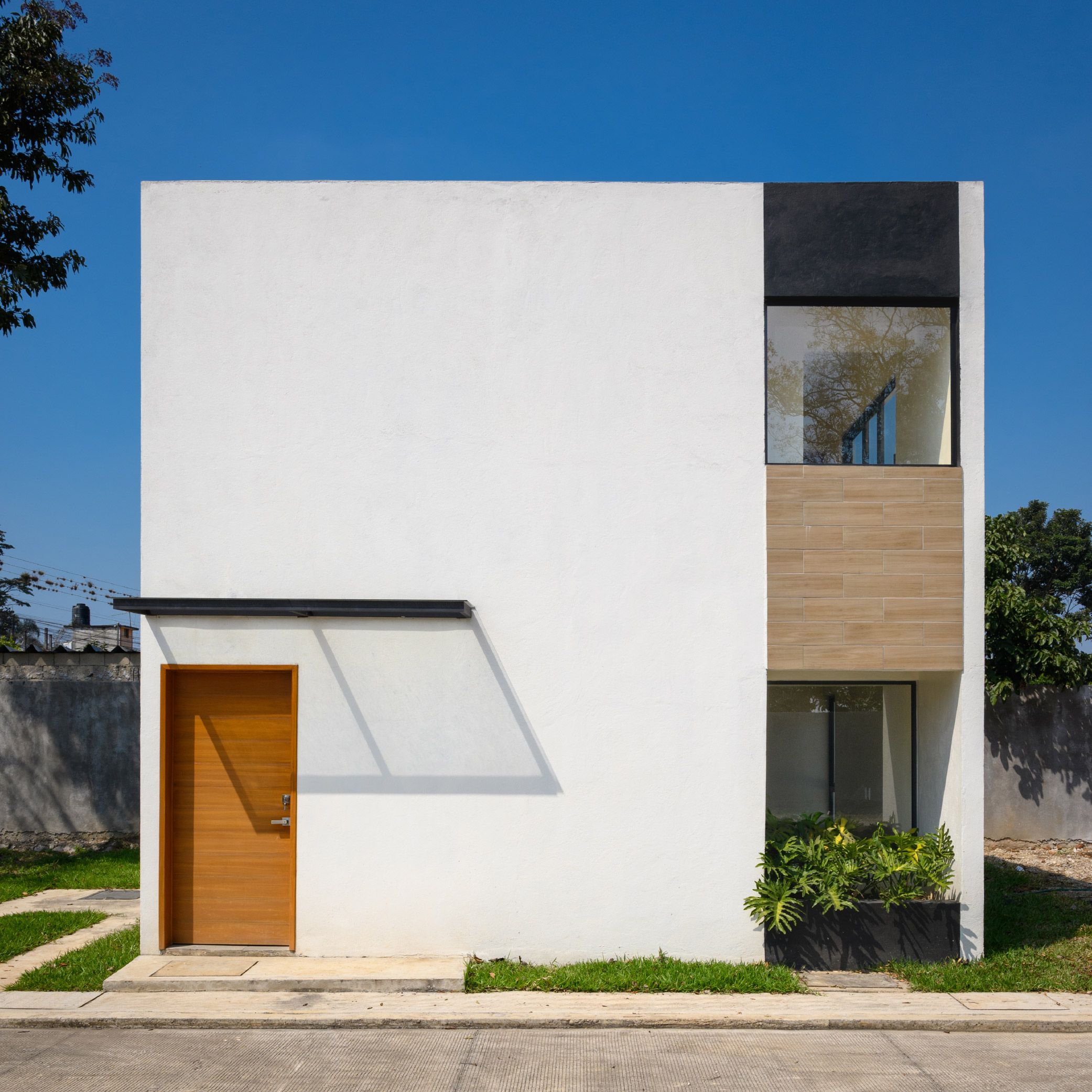 Fotografías de la naturaleza