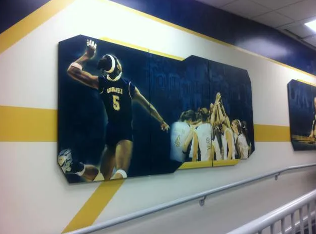 GEORGIA TECH VOLLEYBALL
Sintra Panels