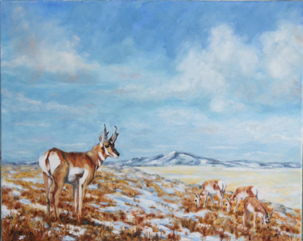 Western Plains Camouflage