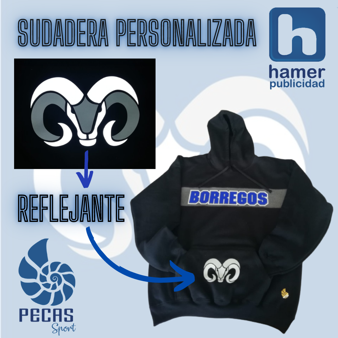 https://0201.nccdn.net/1_2/000/000/172/8d7/sudadera-tec1.png