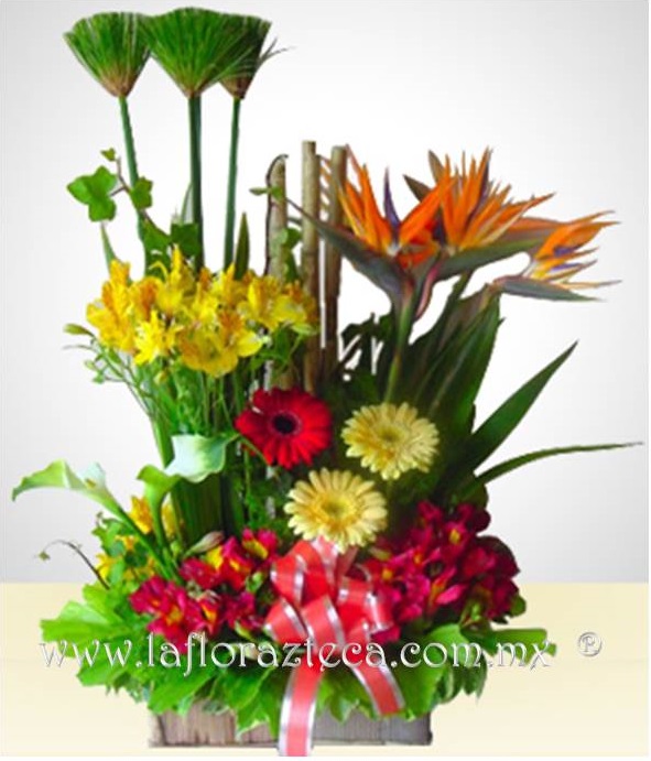 LFA-503
Precio $1280