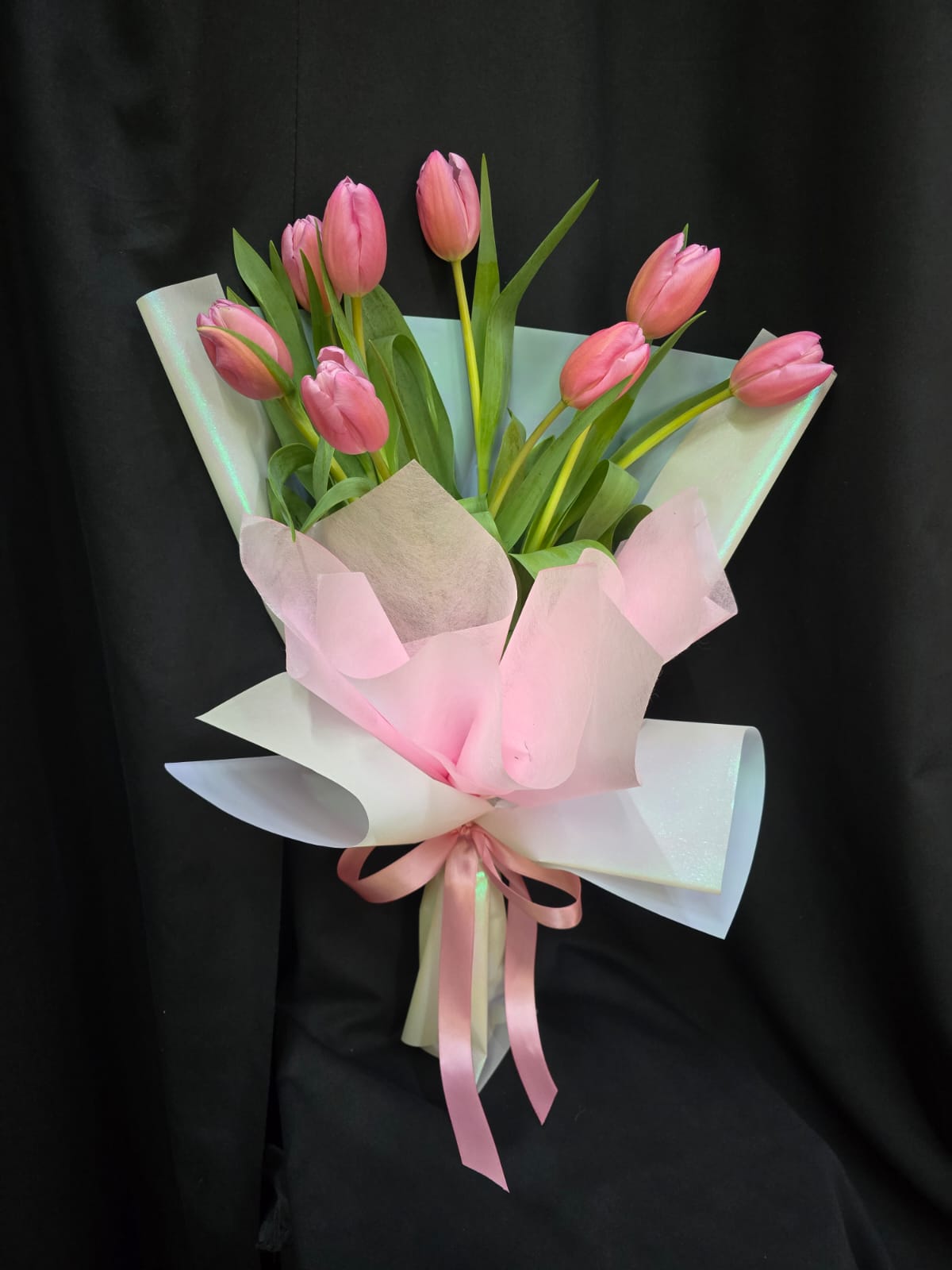 TULIPAN KOREANO