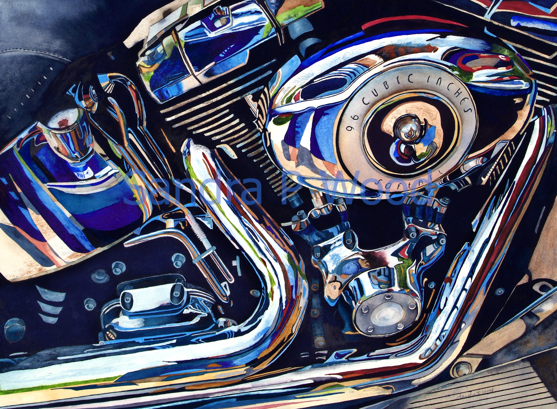 SOFTAIL
(watercolor)

