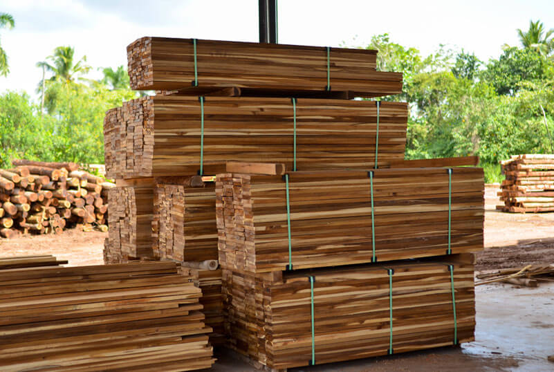 Silvainvest Dominicana SRL -  MADERA DE ACACIA