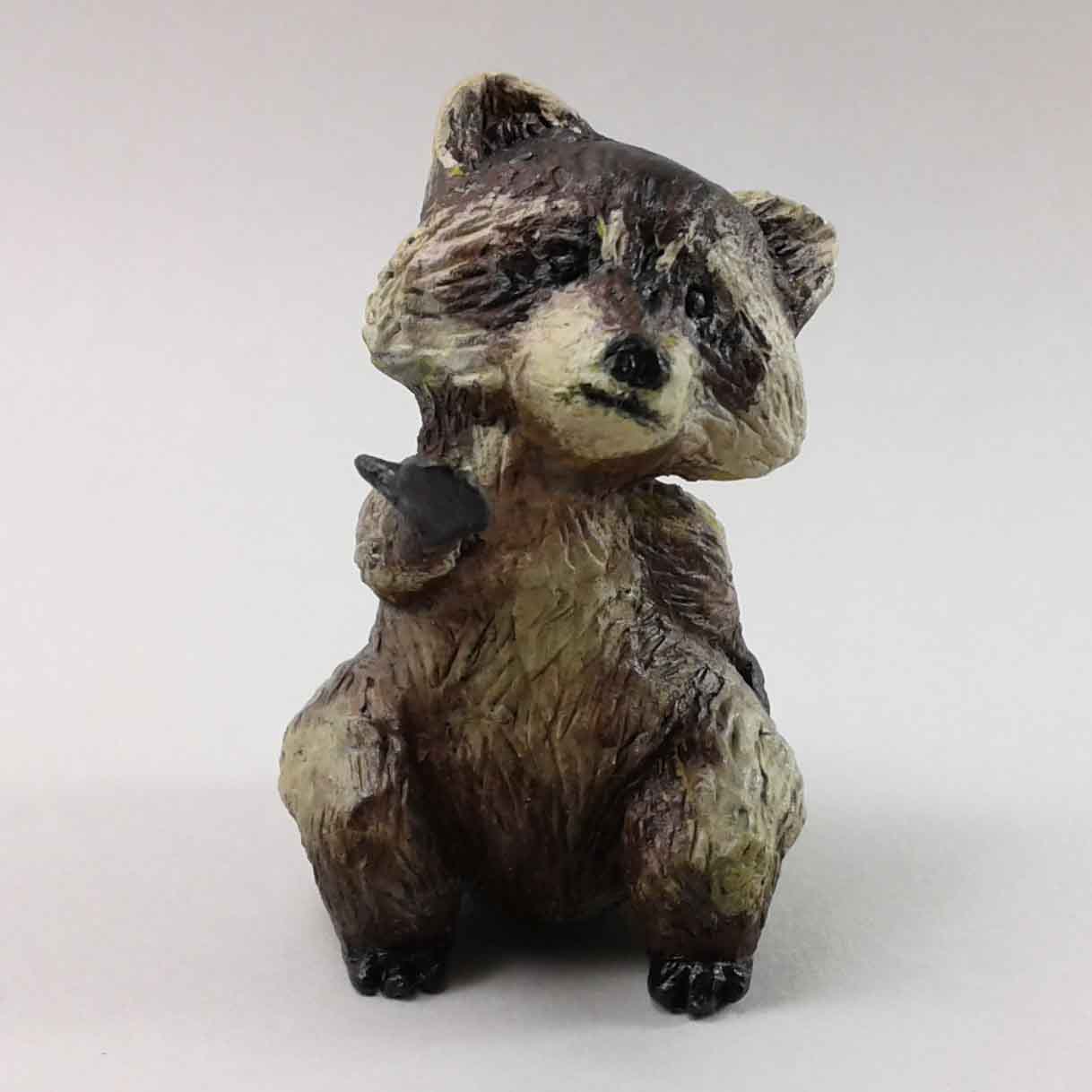 Mapache