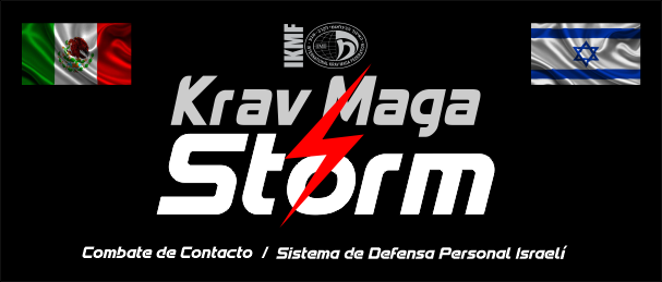 logokravmagastorm2