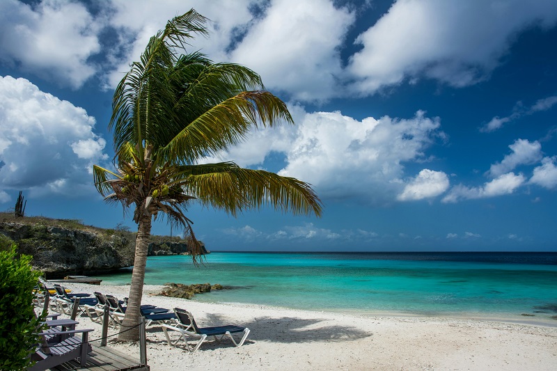 Beach View