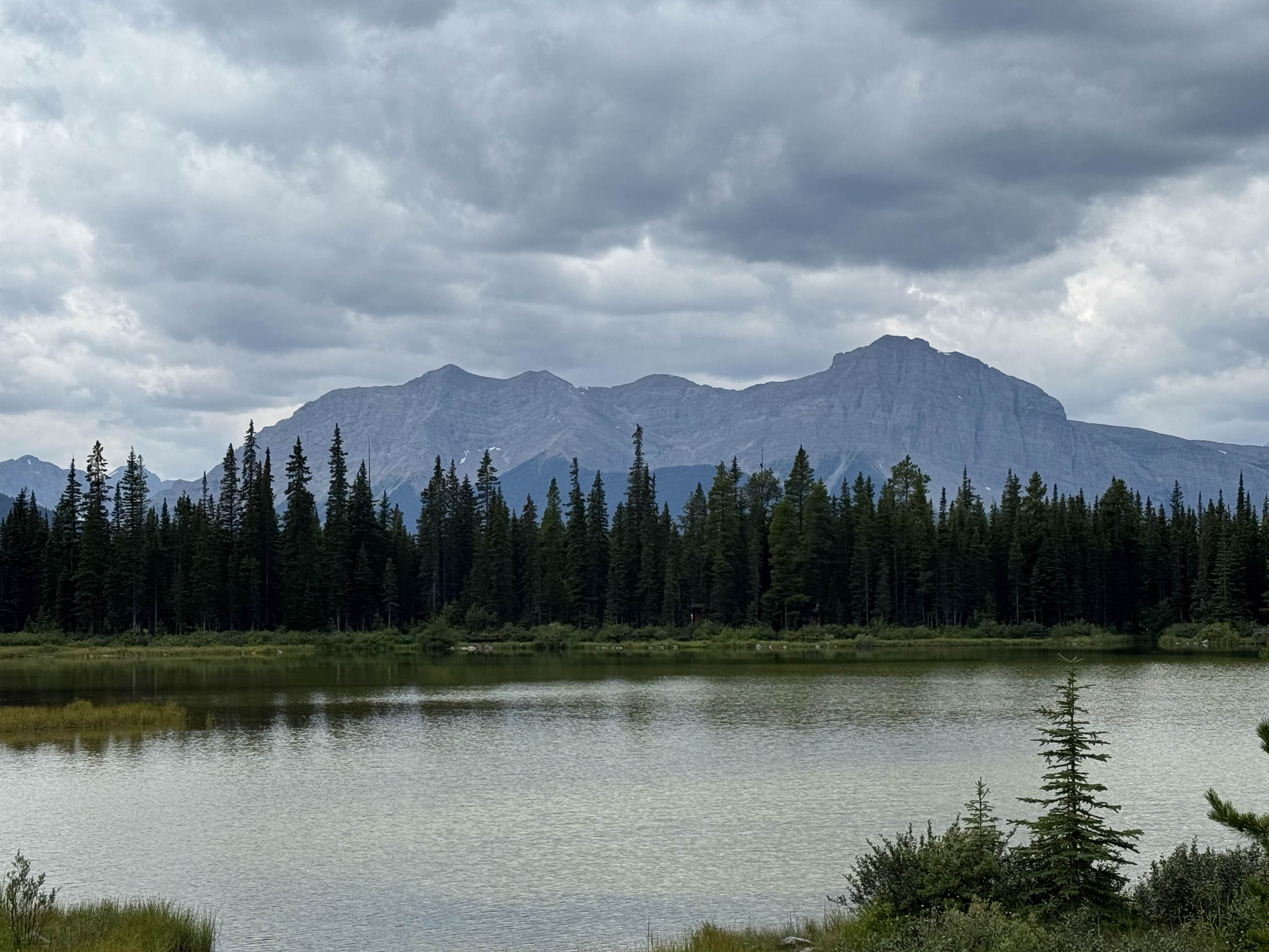https://0201.nccdn.net/1_2/000/000/174/26d/calgary-order-155.jpg