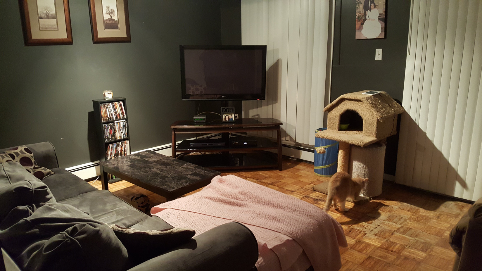 522 Highmeadow Living Room