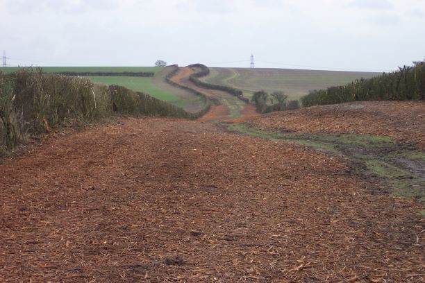 Site Clearance - Cambridgeshire
