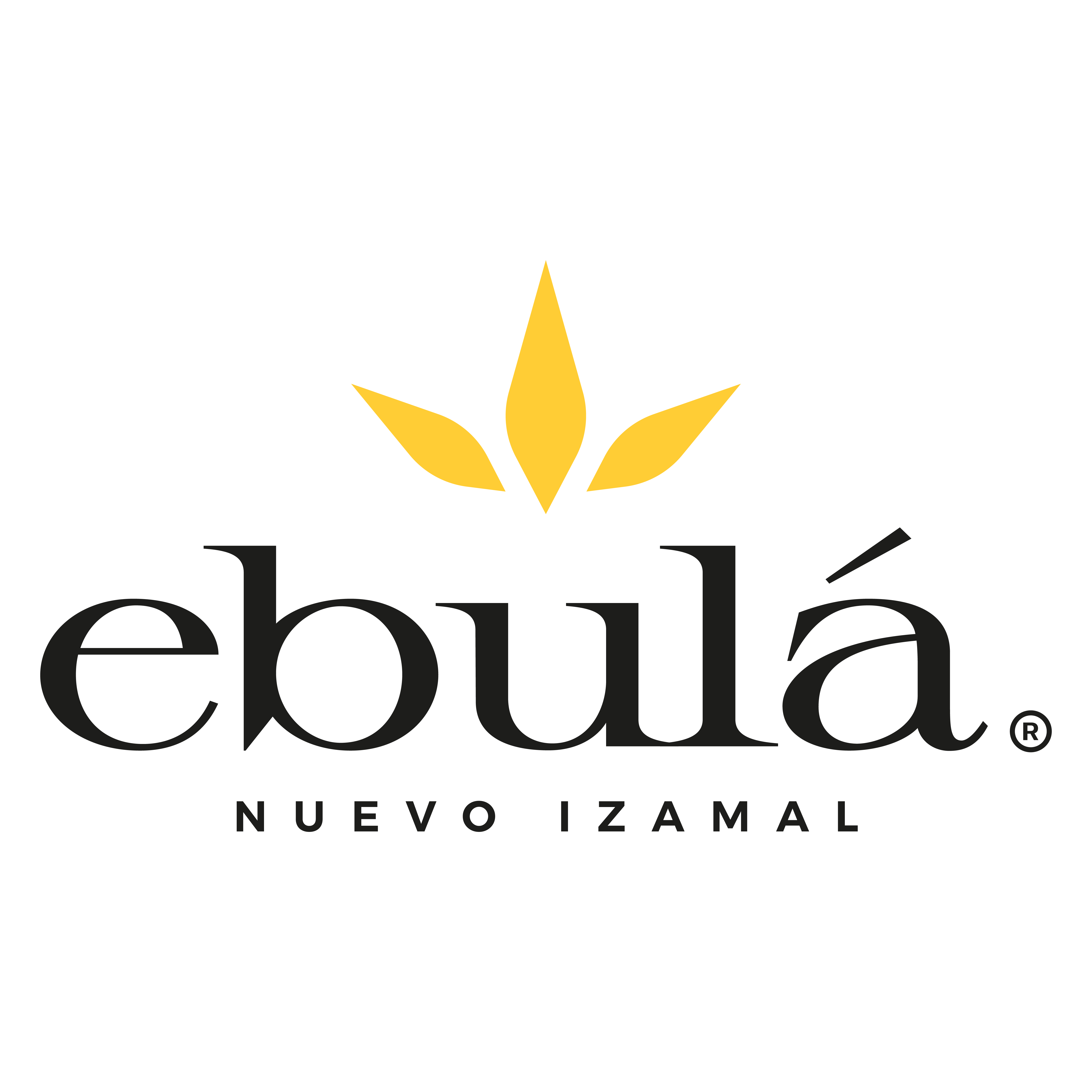 https://0201.nccdn.net/1_2/000/000/174/941/logos-desarrollos-2024-04--1-.png